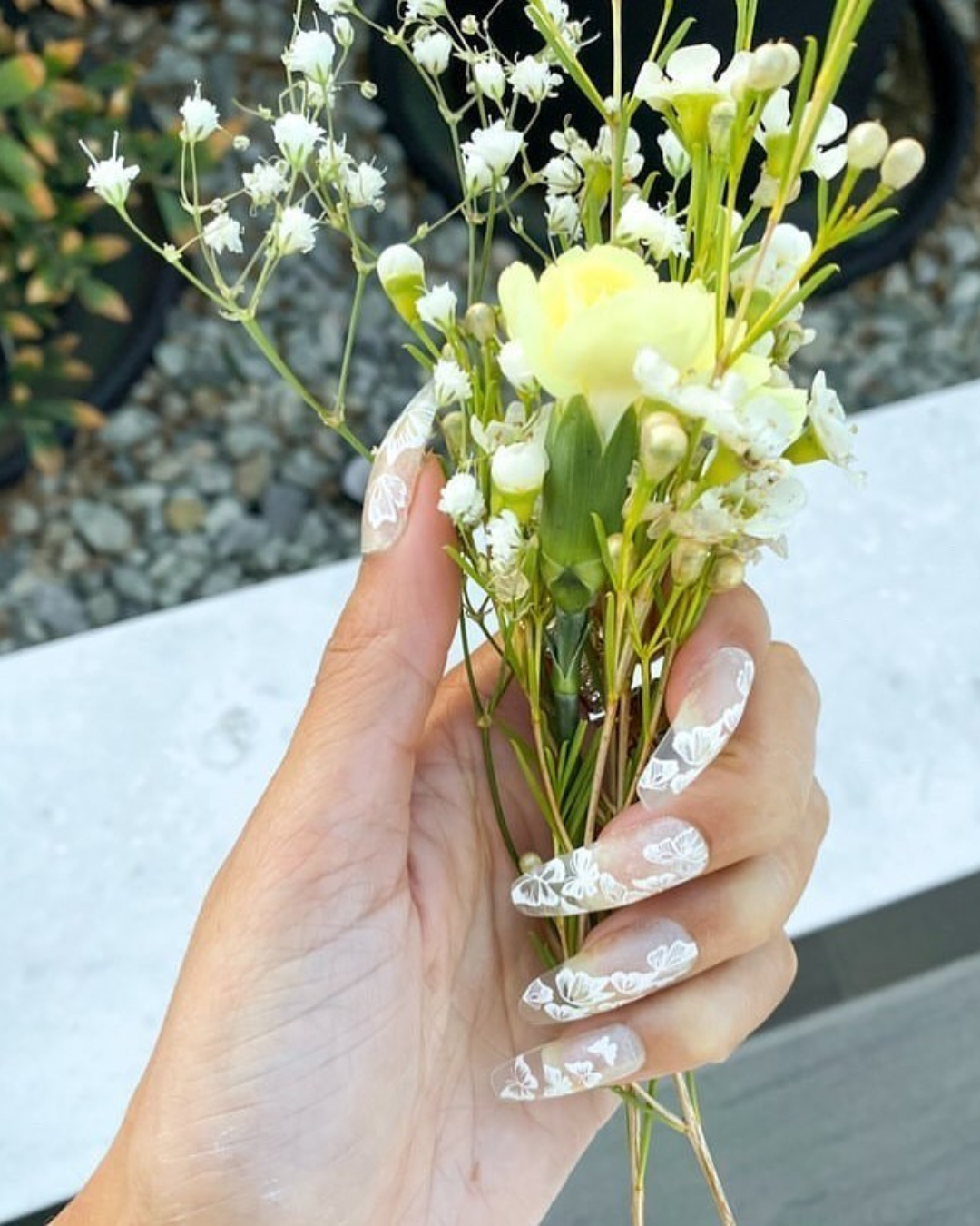 White Butterfly