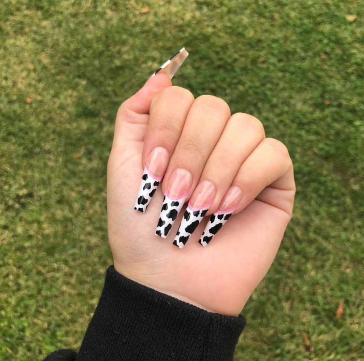 Moo