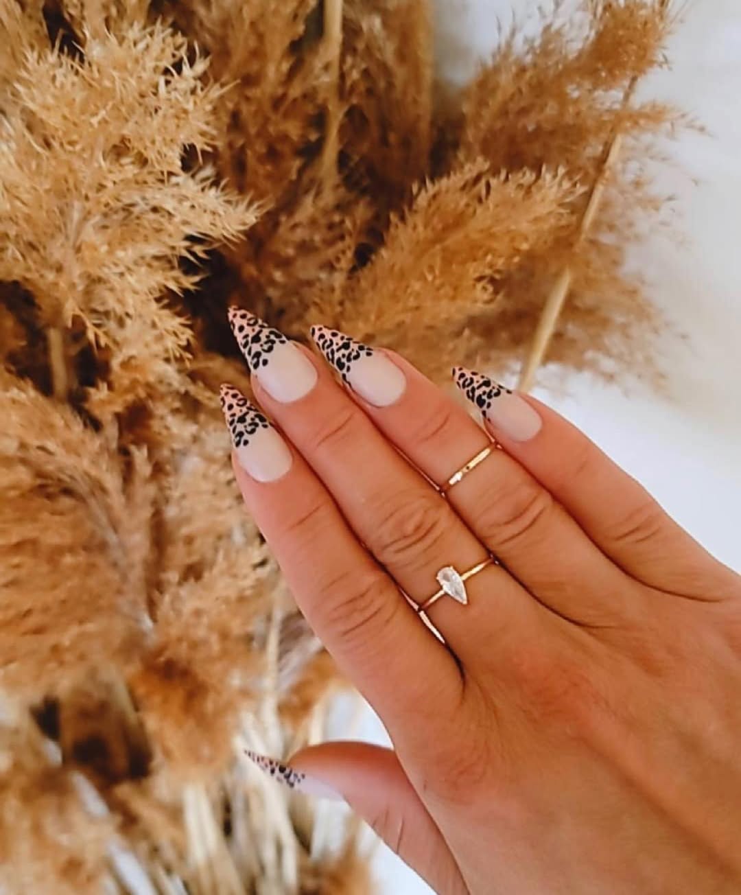 French Leopard